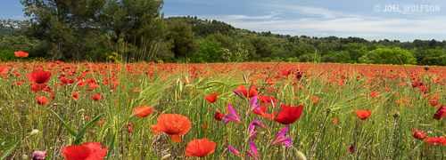 wkshp_provence_500x180